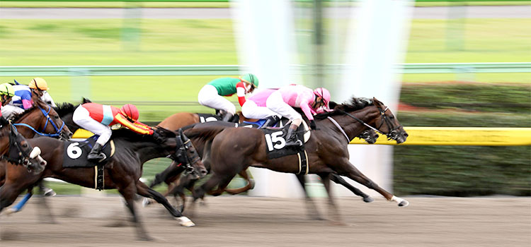 競馬ゴール画像